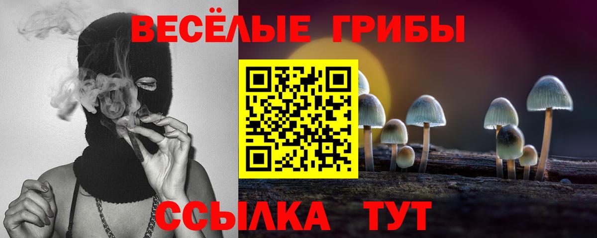 Ковров  Псилоцибиновые грибы Psilocybe  Вход с VPN 